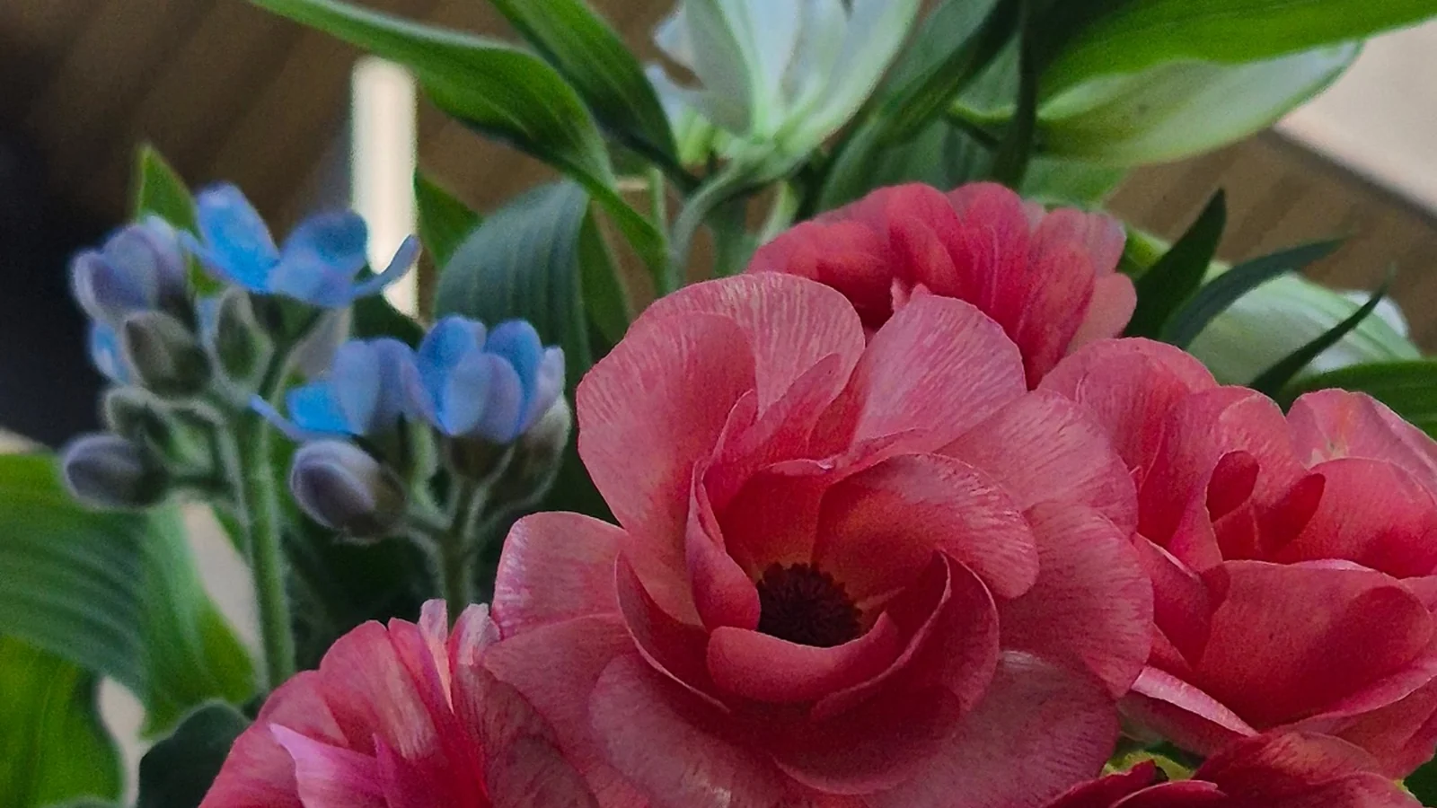 Pink and red seasonal flowers at Mahina Vegan Table