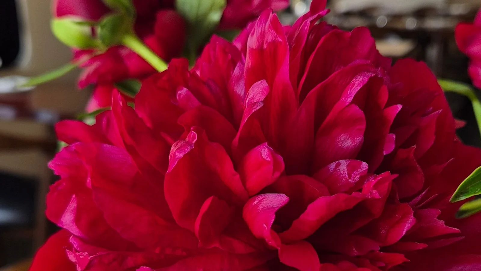 Red fresh flowers at Mahina Vegan Table