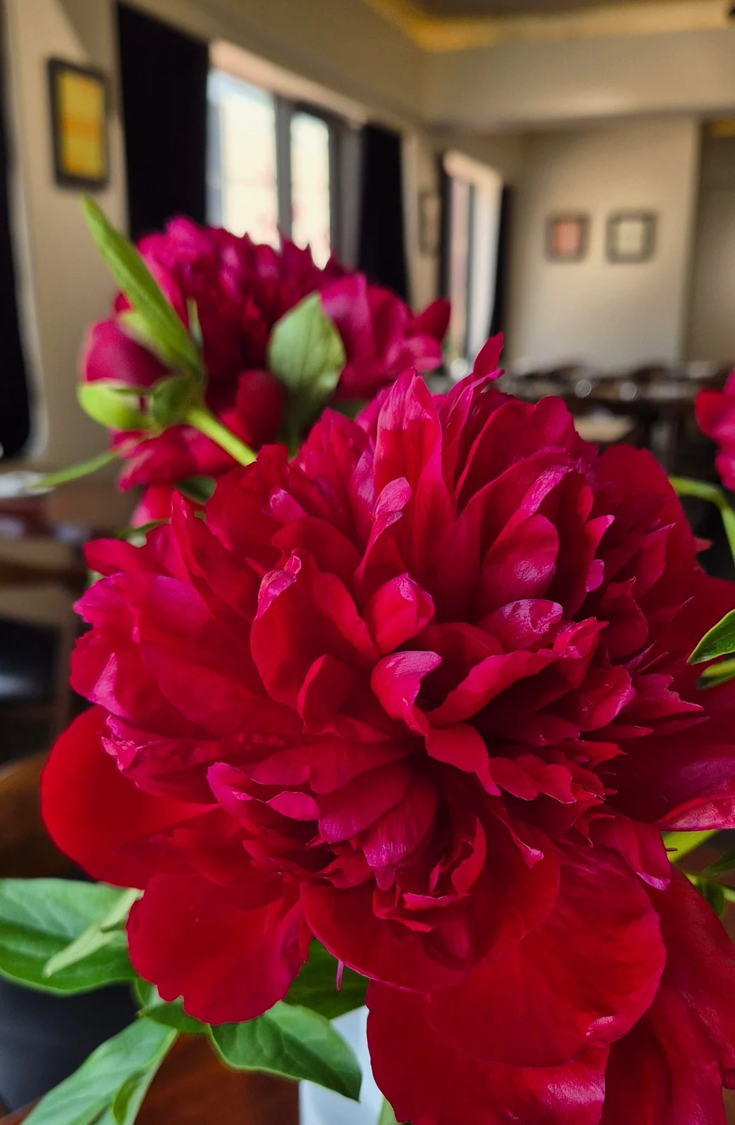 Red fresh flowers photographed against the interior of Mahina Vegan Table