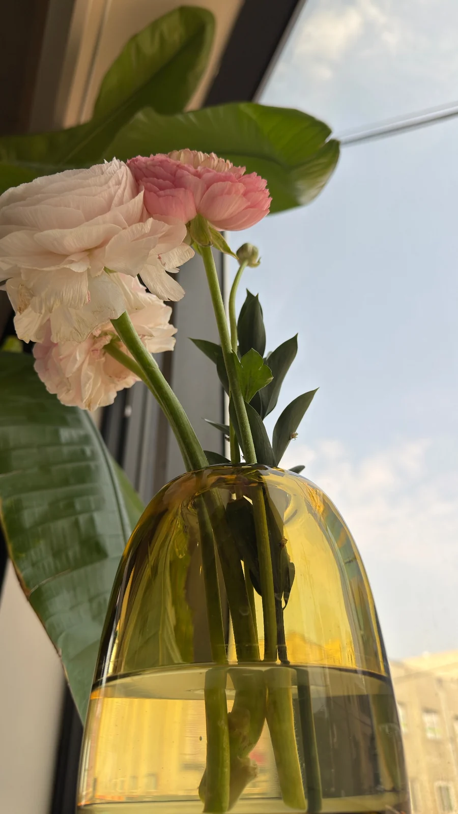Fresh pink flowers in an amber vase by the window