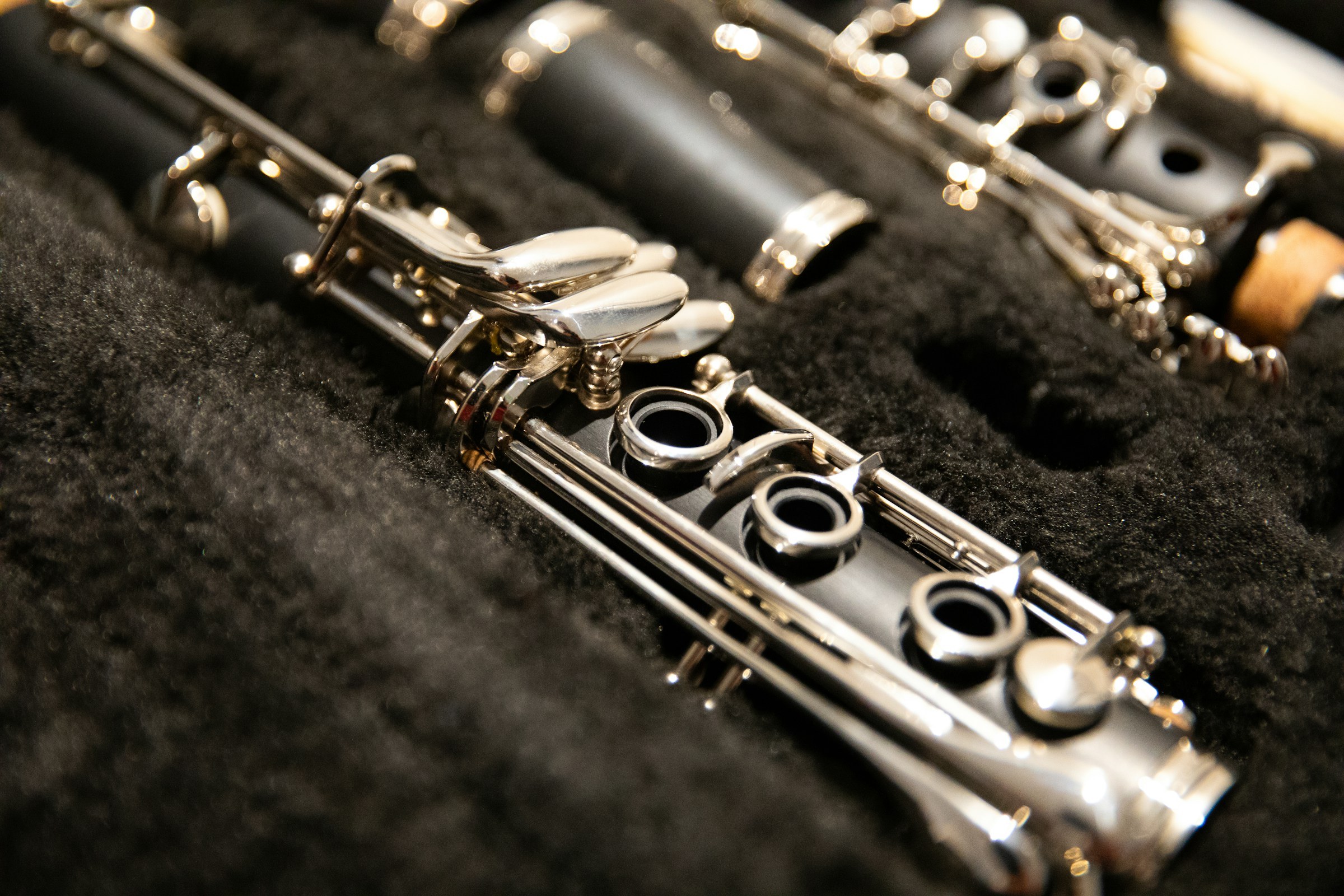 A clarinet resting in a black case