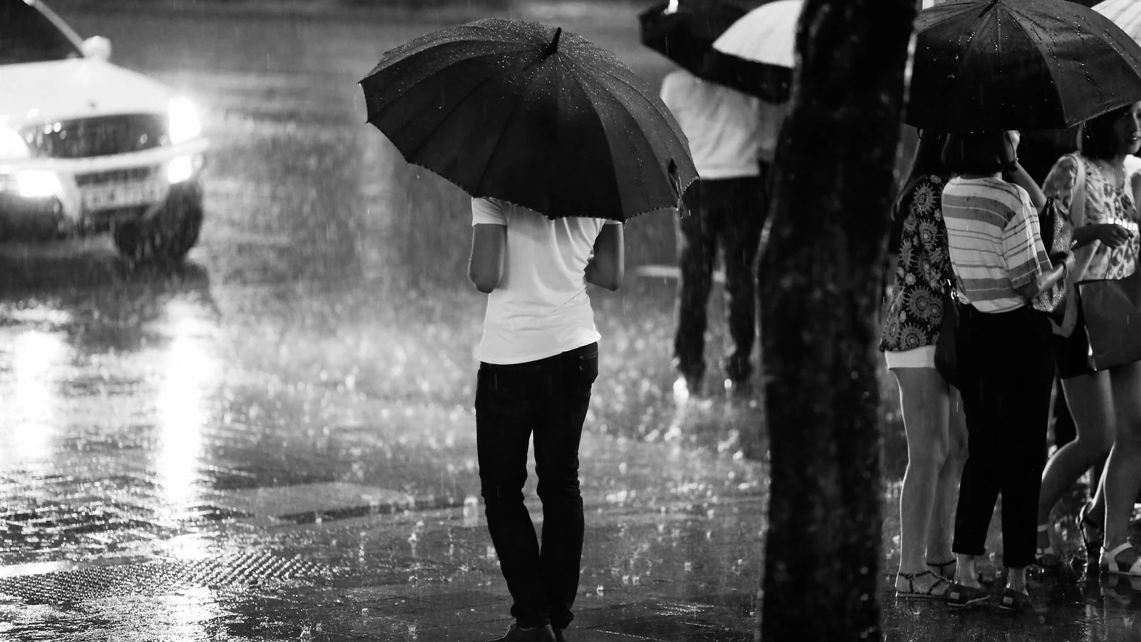 Pedestrians carrying umbrellas on a rainy street in Seoul