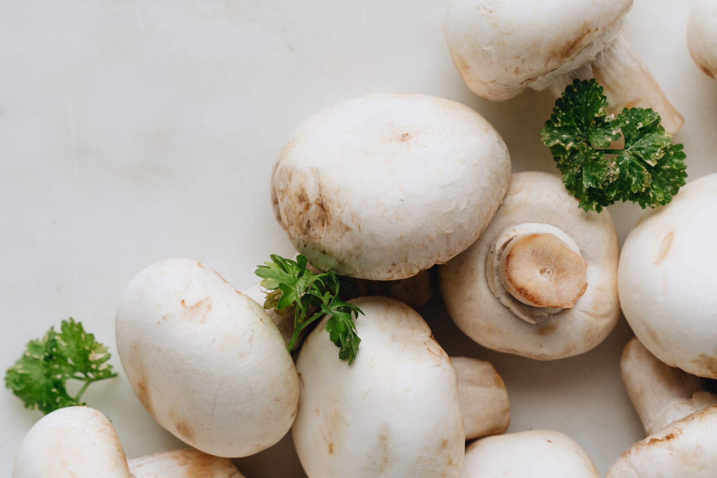 Button mushrooms with round white caps and short stems