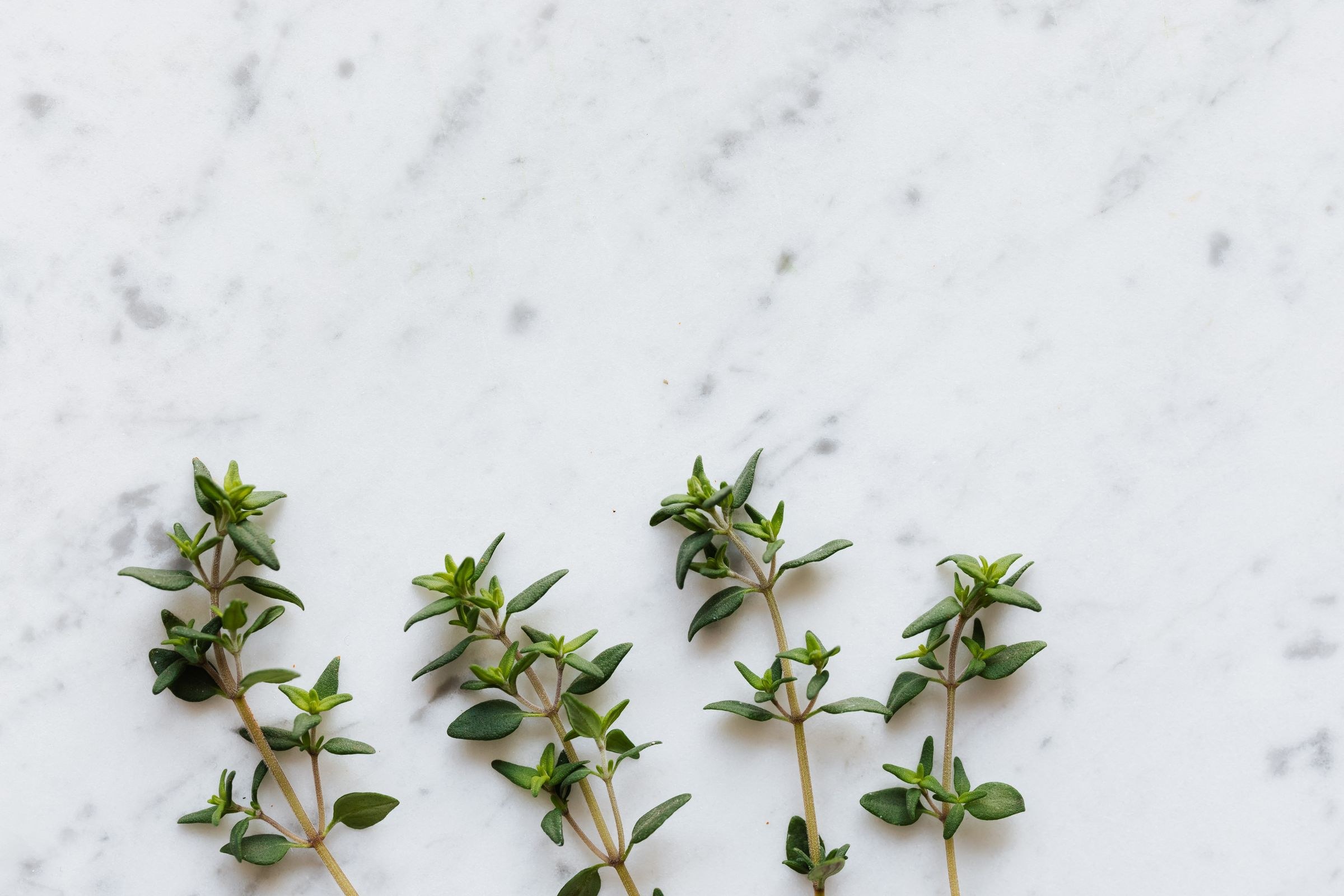 Fresh thyme sprigs on white marble