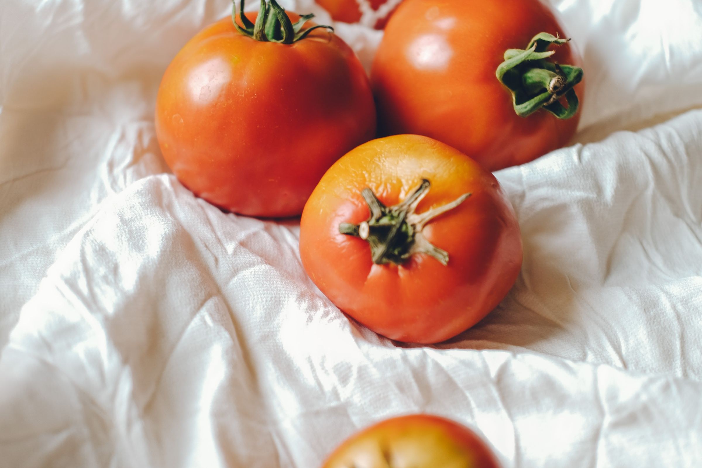 Red tomatoes in several sizes on white cloth