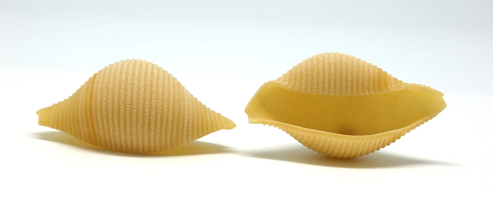 Conchiglioni shells large enough to stuff