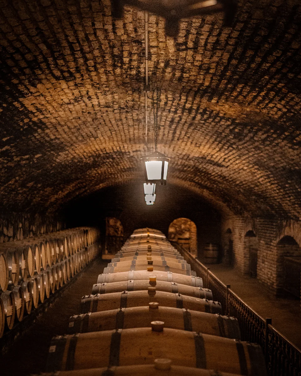 A wine-aging cellar with oak barrels