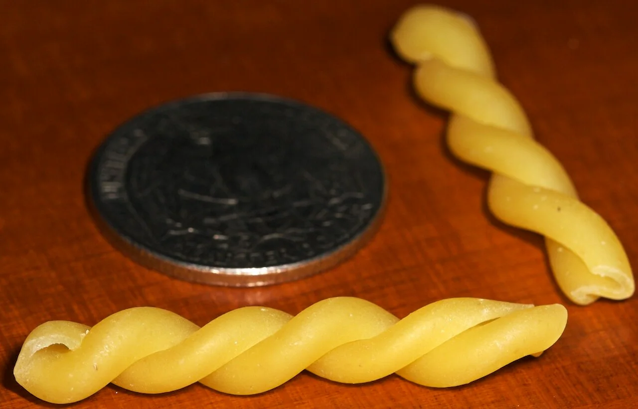 Dried gemelli resembling two twisted strands