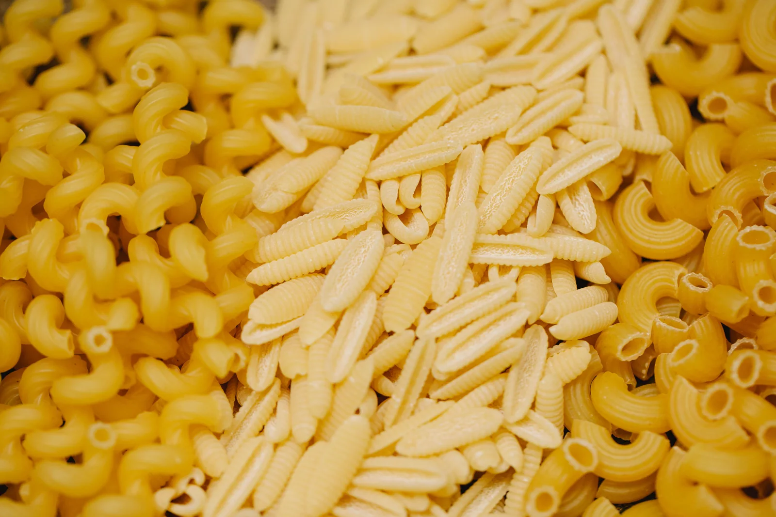 A photograph of short hollow pasta alongside small ridged pasta