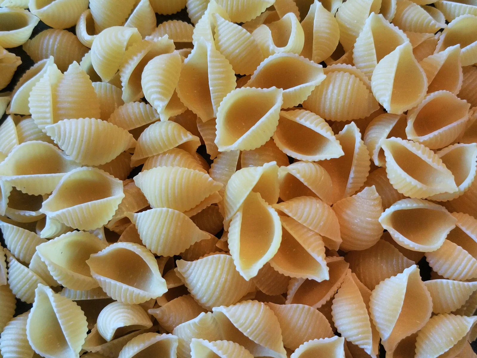 Small, hollow, shell-shaped conchiglie