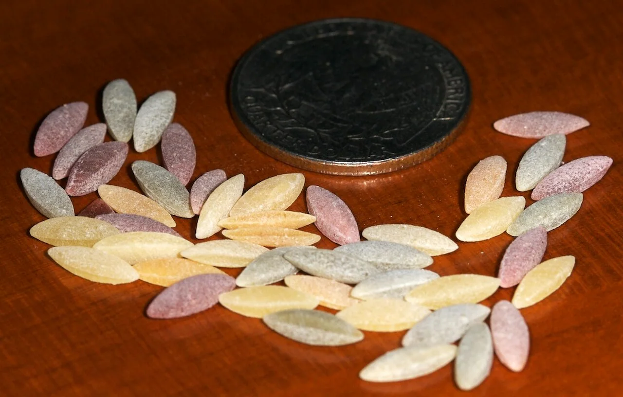 Small, elongated dried orzo resembling grains of rice