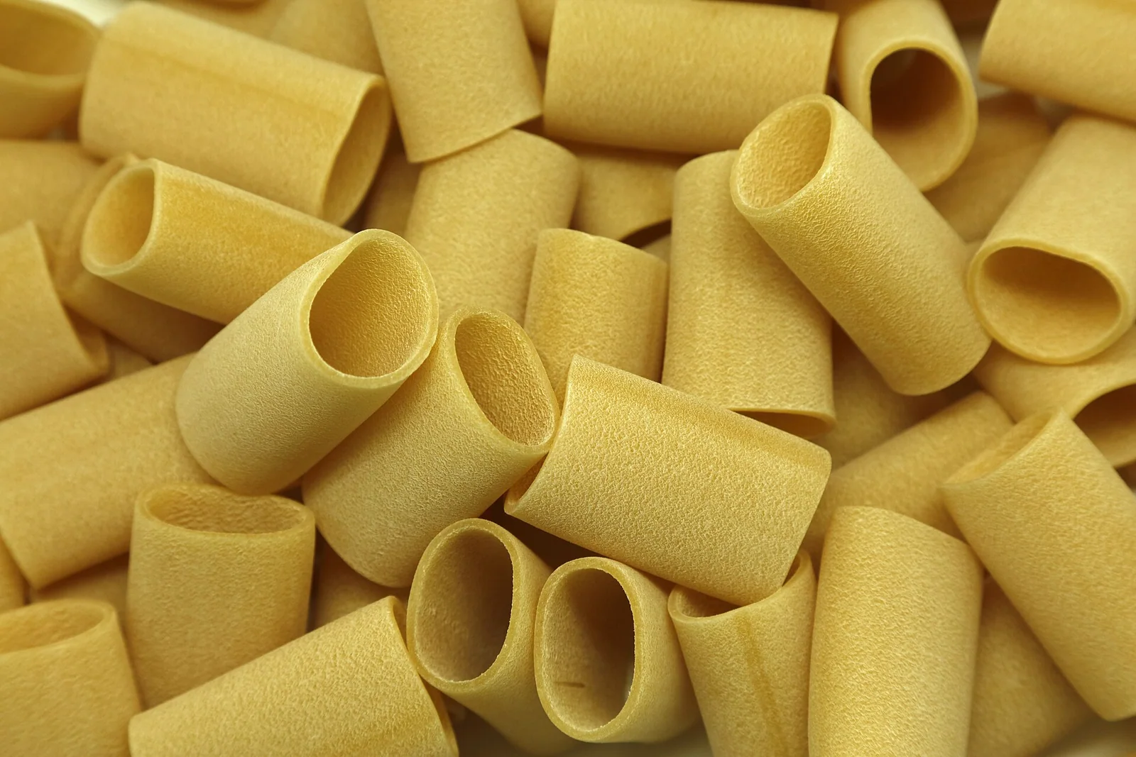 Dried paccheri with very wide tubes